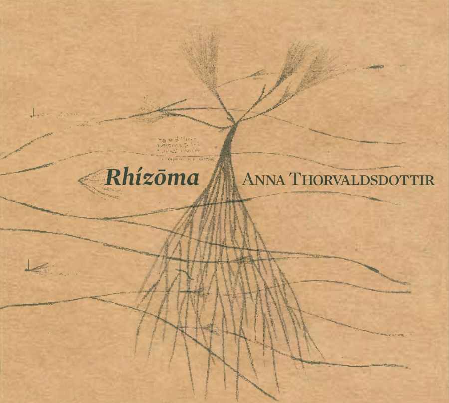 Thorvaldsdottir: Rhizoma