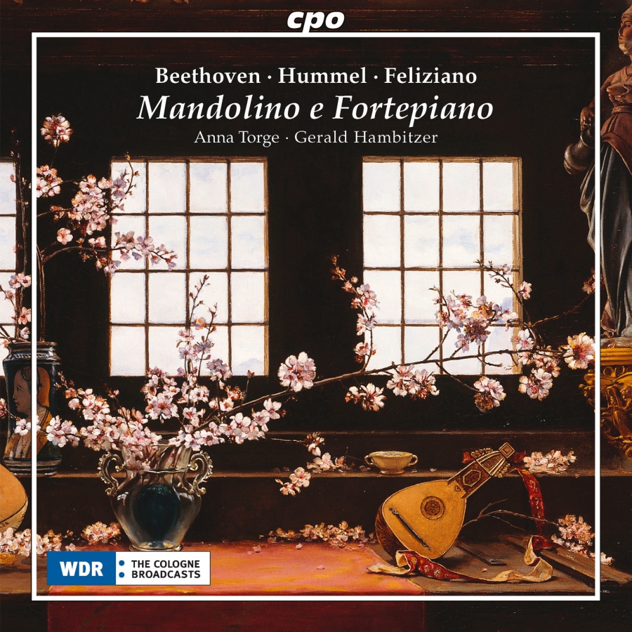 Mandolino e Fortepiano