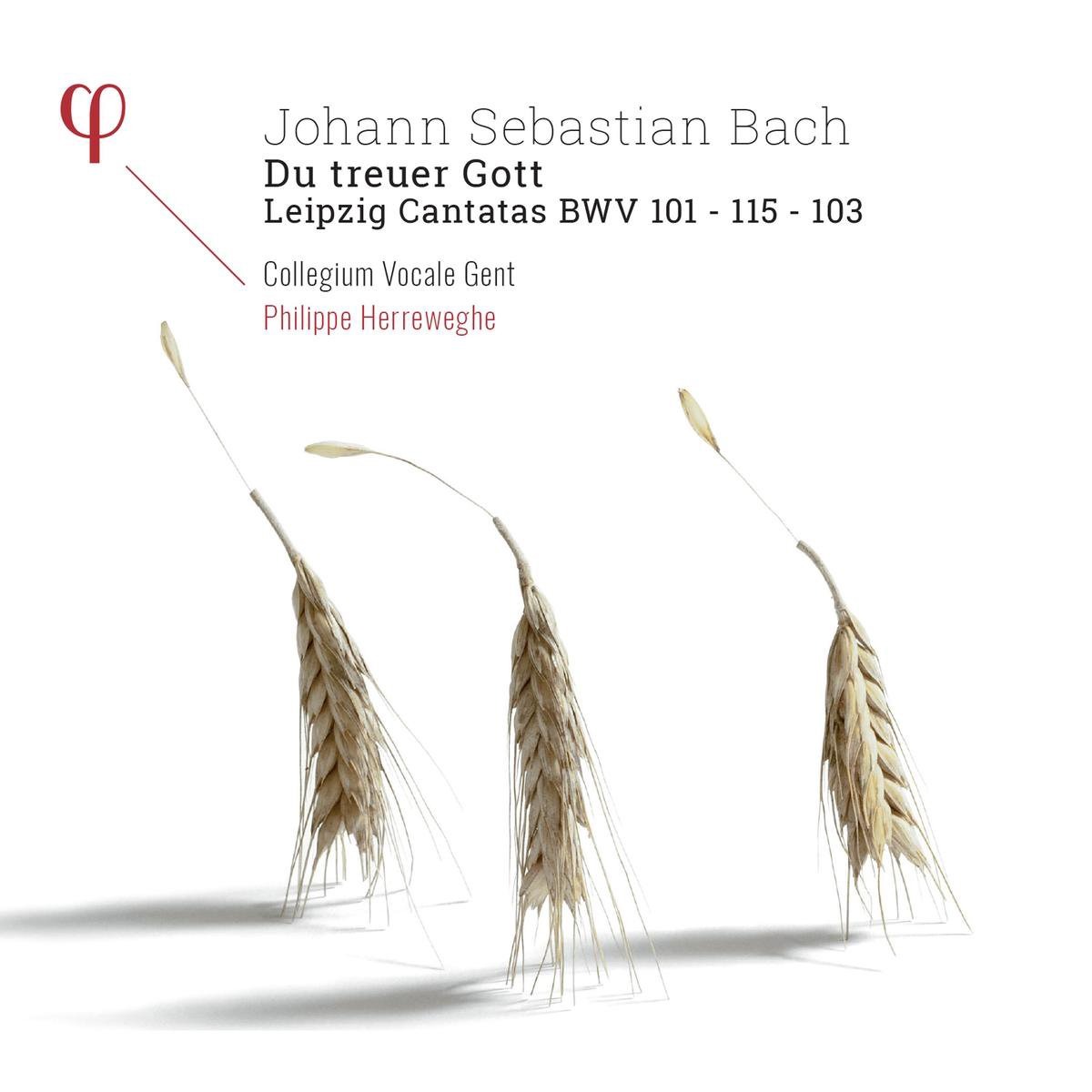 Bach: Du Treuer Gott - Lepizig Cantatas