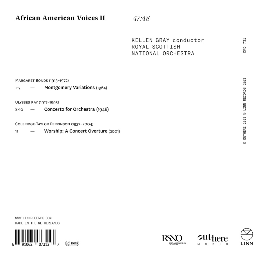 African American Voices II - slide-1