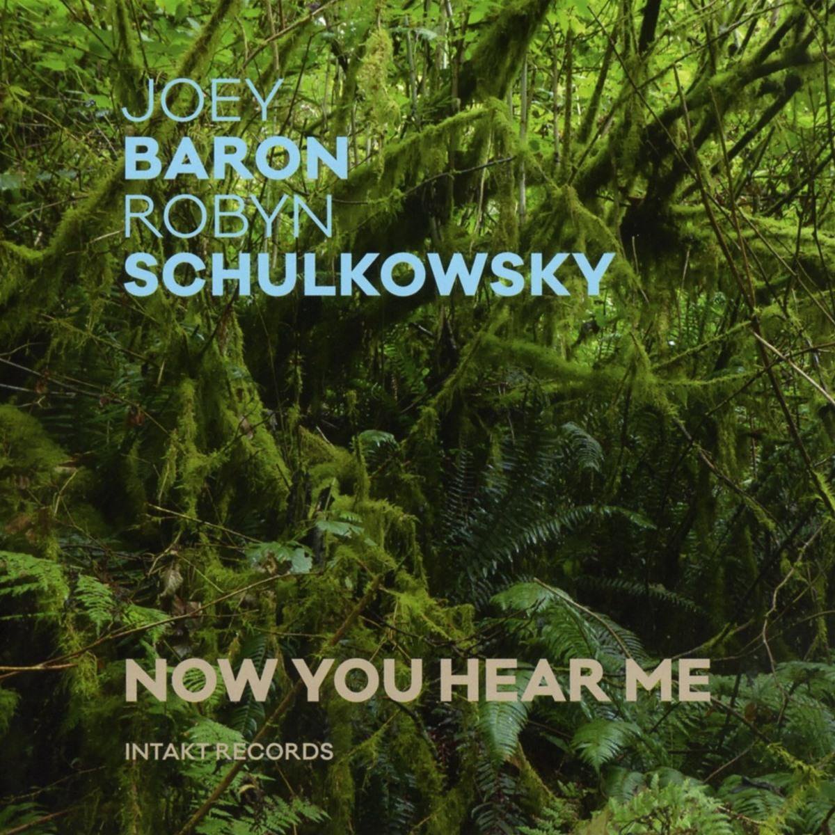 Baron/Schulkowsky: Now You Hear Me