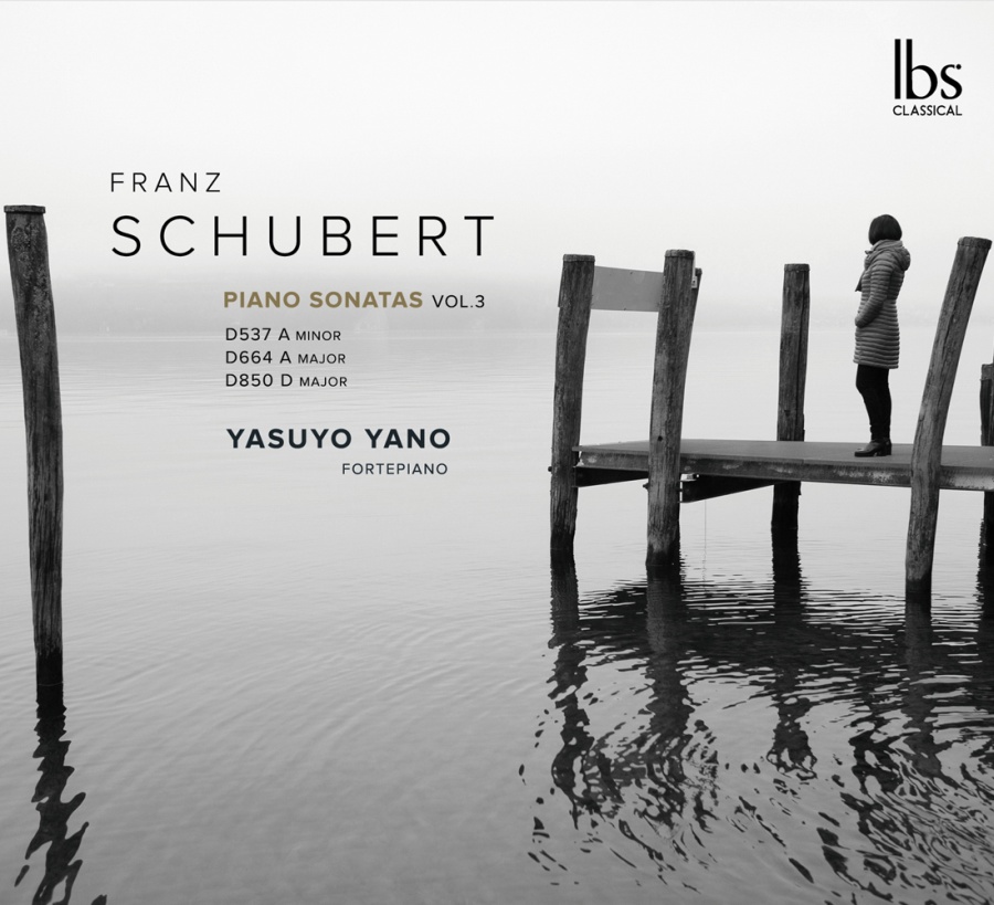 Schubert: Piano Sonatas Vol. 3